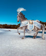 silverhorsetackshop